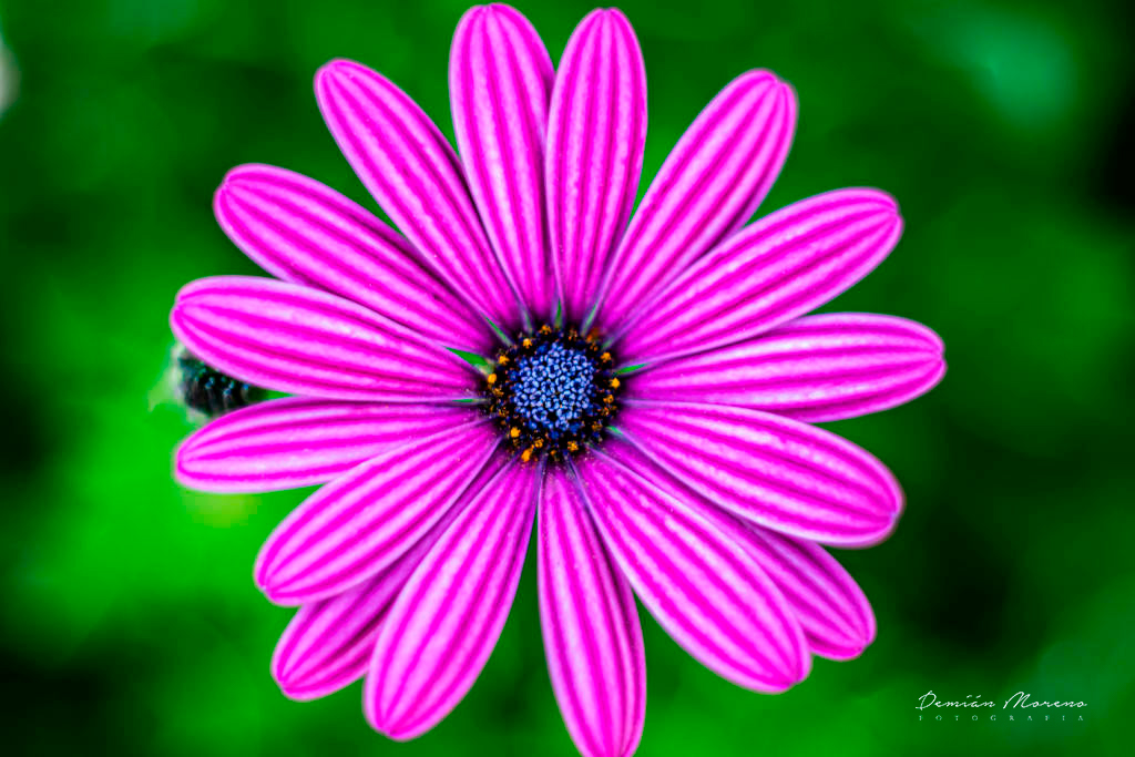 DSC_0202(FILEminimizer)